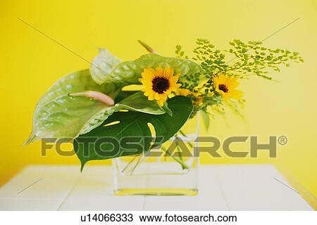 Studio Shot of a Flower Arrangement View Large Photo Image Stock Image - Studio Shot of a Flower Arrangement. Fotosearch