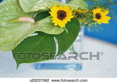 Stock Image - Studio Shot of a Flower Arrangement, Differential Focus. Fotosearch