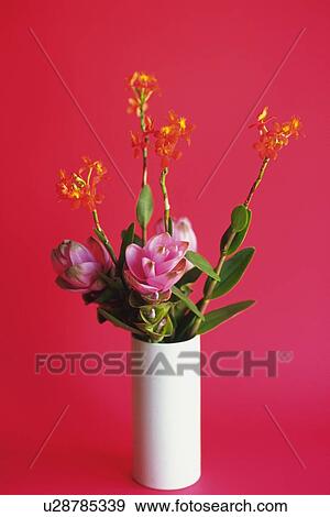 Stock Photo - Studio Shot of a Flower Arrangement. Fotosearch