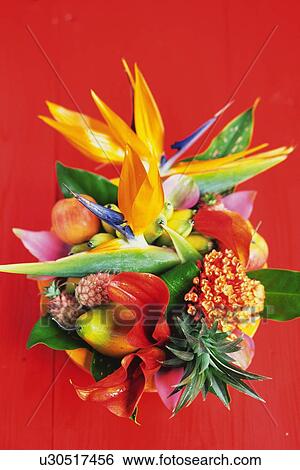Studio Shot of a Flower Arrangement View Large Photo Image Stock Photograph - Studio Shot of a Flower Arrangement. Fotosearch