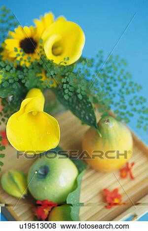 Studio Shot of Flowers and Fruits, Differential Focus View Large Photo Image Stock Photo - Studio Shot of Flowers and Fruits, Differential Focus. Fotosearch