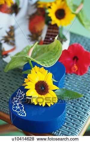 Stock Photo - Tropical Arrangements, Differential Focus. Fotosearch