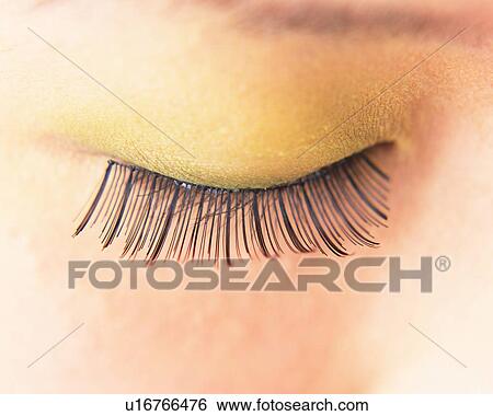 Closed Up Image of a Closed Eye Wearing False Eyelashes, Differential Focus View Large Photo Image Stock Photograph - Closed Up Image of a Closed Eye Wearing False Eyelashes, Differential Focus. Fotosearch