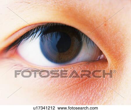 Closed Up Image of a No-makeup Eye, Front View, Looking at Camera, Differential Focus View Large Photo Image Stock Image - Closed Up Image of a No-makeup Eye, Front View, Looking at Camera, Differential Focus. Fotosearch