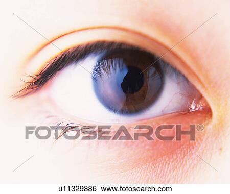 Closed Up Image of a No-makeup Eye, Front View, Looking at Camera, Differential Focus View Large Photo Image Stock Photograph - Closed Up Image of a No-makeup Eye, Front View, Looking at Camera, Differential Focus. Fotosearch