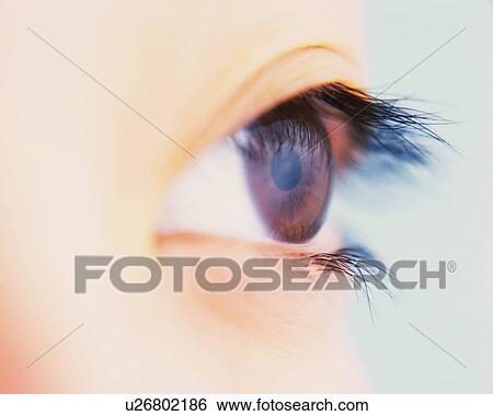 Closed Up Image of a No-makeup Eye, Differential Focus View Large Photo Image Stock Photograph - Closed Up Image of a No-makeup Eye, Differential Focus. Fotosearch
