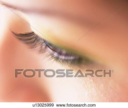 Closed Up Image of an Eye Wearing False Eyelashes, High Angle View, Differential Focus View Large Photo Image Stock Photo - Closed Up Image of an Eye Wearing False Eyelashes, High Angle View, Differential Focus. Fotosearch