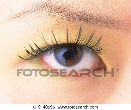 Stock Photography - Closed Up Image of an Eye Wearing False Eyelashes, Front View, Differential Focus. Fotosearch