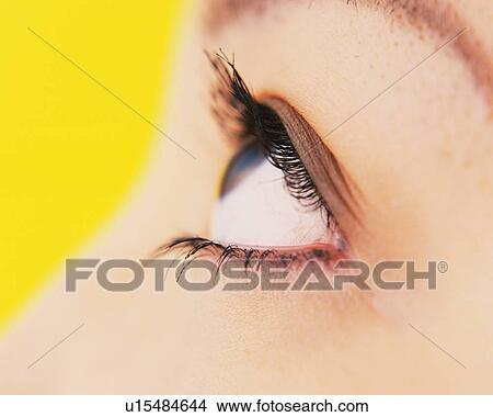 Picture - Closed Up Image of an Eye Wearing Makeup, Looking Up, Side View, Differential Focus. Fotosearch