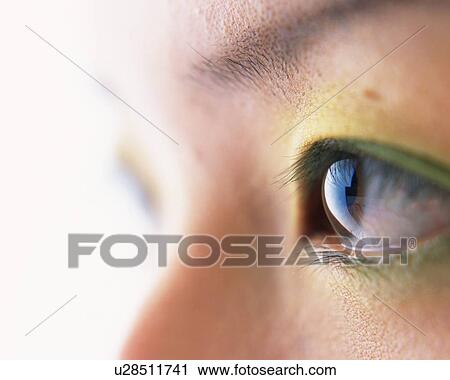Closed Up Image of an Eye Wearing Green-Colored Eye Shadow, Side View, Differential Focus View Large Photo Image Stock Image - Closed Up Image of an Eye Wearing Green-Colored Eye Shadow, Side View, Differential Focus. Fotosearch
