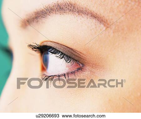 Closed Up Image Of An Eye Wearing Makeup Side View Differential