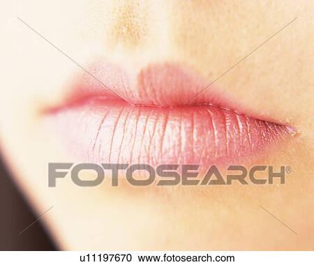 Closed Up Image of Feminine Lips, Front View, Differential Focus View Large Photo Image Stock Image - Closed Up Image of Feminine Lips, Front View, Differential Focus. Fotosearch