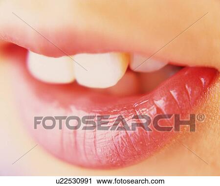Closed Up Image of Feminine Lips, Differential Focus View Large Photo Image Stock Image - Closed Up Image of Feminine Lips, Differential Focus. Fotosearch