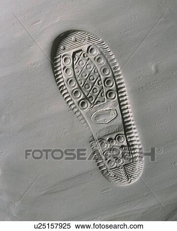 Plaster Craft of Footprint, High Angle View View Large Photo Image Stock Photography - Plaster Craft of Footprint, High Angle View. Fotosearch