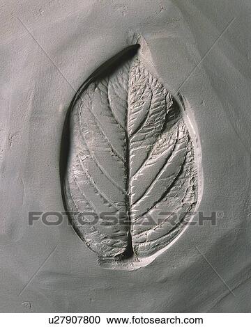 Plaster Craft of Leaf, High Angle View View Large Photo Image Stock Image - Plaster Craft of Leaf, High Angle View. Fotosearch