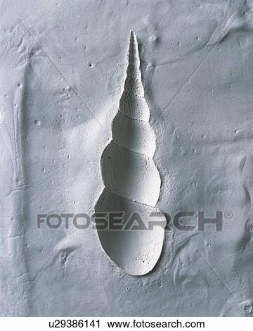 Plaster Craft of Snail, High Angle View View Large Photo Image Stock Image - Plaster Craft of Snail, High Angle View. Fotosearch