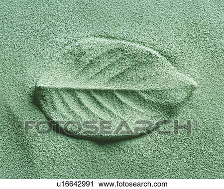 Sand Craft of Leaf, High Angle View View Large Photo Image Stock Image - Sand Craft of Leaf, High Angle View. Fotosearch