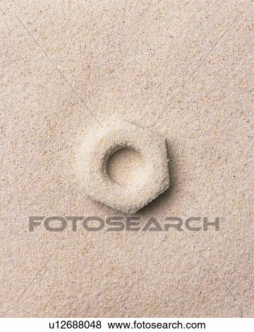 sand nut