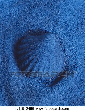 Stock Photograph - Sand Craft of Sea Shell, High Angle View. Fotosearch