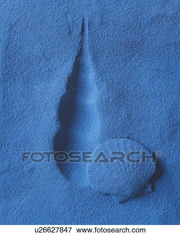 Sand Craft of Sea Shells, High Angle View View Large Photo Image Stock Photo - Sand Craft of Sea Shells, High Angle View. Fotosearch