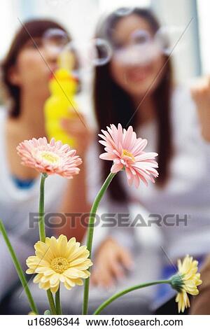 Picture - Image of Four Gerberas and Two Young Adult Women in the Backround one Doing Soap Bubbles, Low Angle View, Differential Focus. Fotosearch