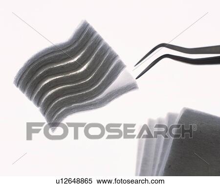 A pair of tweezers and cotton puffs, side view, white background View Large Photo Image Stock Photography - A pair of tweezers and cotton puffs, side view, white background. Fotosearch