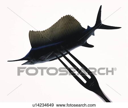 Stock Photo - Fish stabbed with fork, front view, close up, white background. Fotosearch