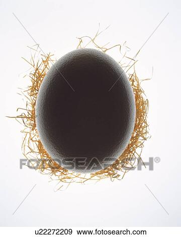 Silhouette of egg on nest, high angle view, close up, white background View Large Photo Image Stock Photo - Silhouette of egg on nest, high angle view, close up, white background. Fotosearch