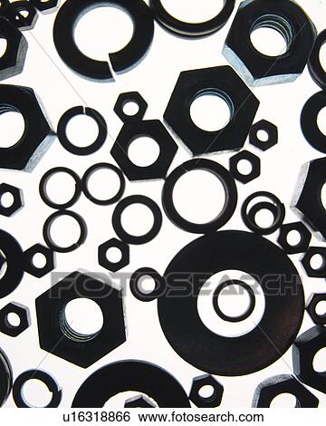 Stock Photograph - Silhouette of various screw nuts, high angle view, white background. Fotosearch
