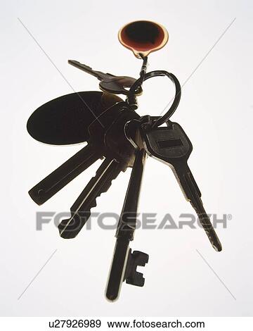 Various keys in ring, high angle view, white background View Large Photo Image Stock Photo - Various keys in ring, high angle view, white background. Fotosearch