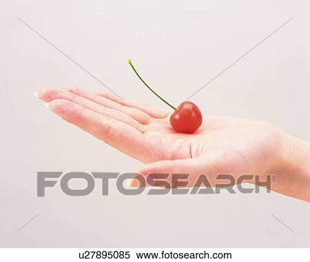 A cherry on woman's hand View Large Photo Image Stock Photography - A cherry on woman's hand. Fotosearch