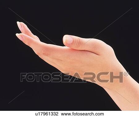 Close up of woman's hand View Large Photo Image Stock Image - Close up of woman's hand. Fotosearch