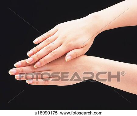 Close up of woman's hands View Large Photo Image Stock Photography - Close up of woman's hands. Fotosearch