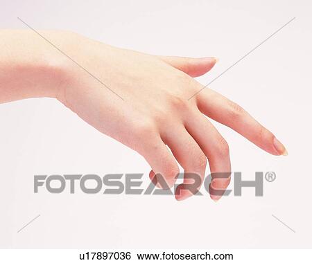 Hand of woman pointing down View Large Photo Image Stock Photograph - Hand of woman pointing down. Fotosearch