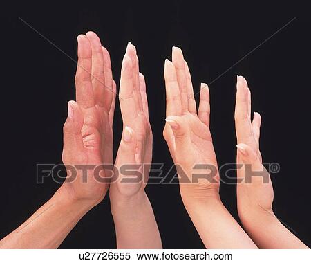 Hands of four people in a row View Large Photo Image Stock Photography - Hands of four people in a row. Fotosearch