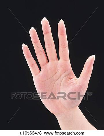 Stock Photo - Palm of woman's hand . Fotosearch