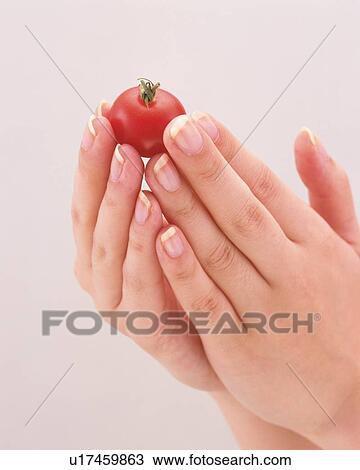 Woman holding a cherry tomato View Large Photo Image Stock Image - Woman holding a cherry tomato. Fotosearch