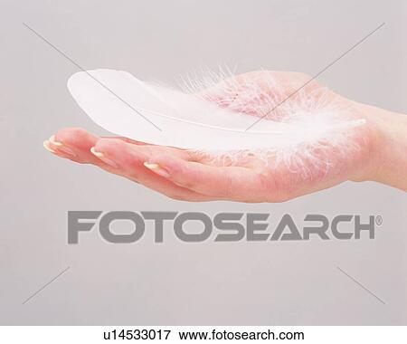 Woman holding a feather View Large Photo Image Stock Photo - Woman holding a feather. Fotosearch