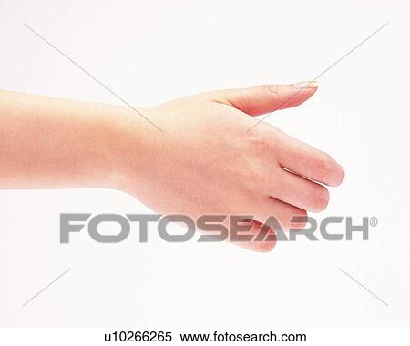 Woman posing of shaking hand View Large Photo Image Stock Photography - Woman posing of shaking hand. Fotosearch