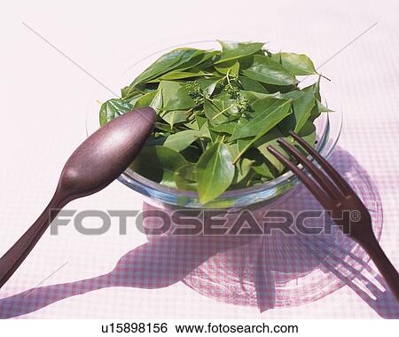 Stock Photograph - Bowl filled with leave like salad. Fotosearch