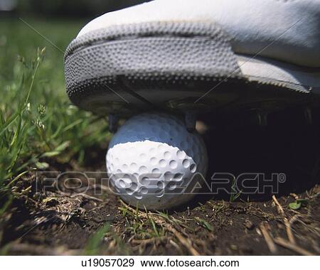 Person stepping on golf ball View Large Photo Image Stock Photo - Person stepping on golf ball. Fotosearch