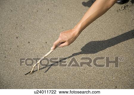 Holding a Branch View Large Photo Image Stock Image - Holding a Branch. Fotosearch