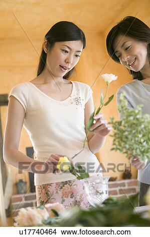 Picture - Flower Arrangement. Fotosearch