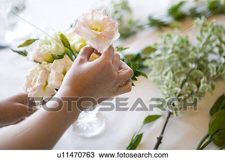 Stock Image - Flower Arrangement. Fotosearch