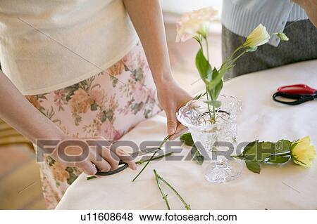 Flower Arrangement View Large Photo Image Stock Photo - Flower Arrangement. Fotosearch
