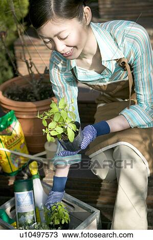 Stock Image - Gardening. Fotosearch