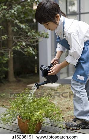 Girl watering a plant View Large Photo Image Stock Image - Girl watering a plant. Fotosearch