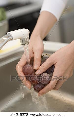 Mid Adult Woman washing a grape with water View Large Photo Image Stock Image - Mid Adult Woman washing a grape with water. Fotosearch