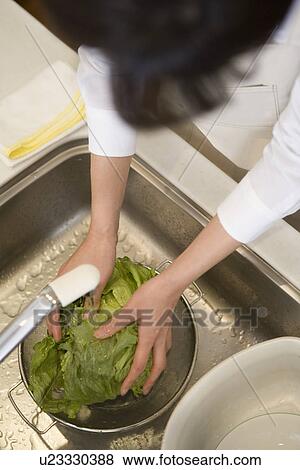 Mid Adult Woman washing a vegetable View Large Photo Image Stock Photo - Mid Adult Woman washing a vegetable. Fotosearch