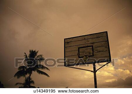 Stock Photography - A Basketball Hoop and Palm Trees, Low Angle View. Fotosearch